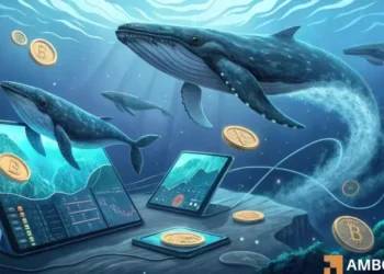 Whales buy back Bitcoin: Could this be a trap for other investors?