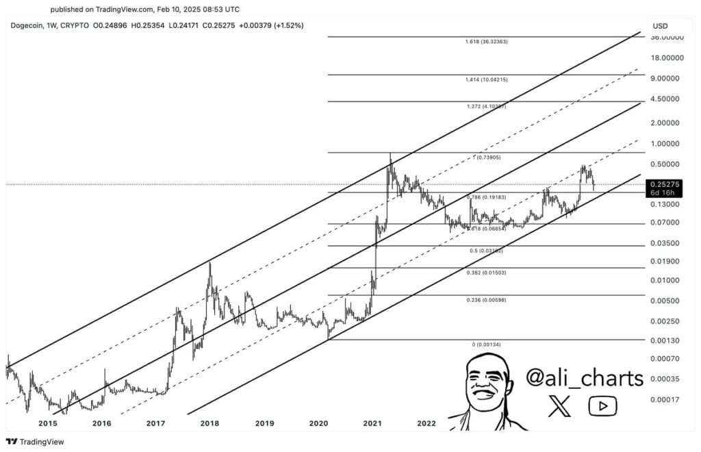 Dogecoin Holding Strong—Analyst Says  Rally Could Be Next