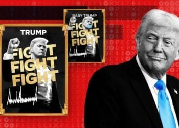 Donald Trump’s memecoin copycats spark fears for investors