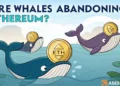 Ethereum whales pull back, but traders, watch out THIS ‘make-or-break’ level! Ethereum whales pull back, but traders, watch out THIS ‘make-or-break’ level!