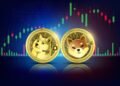 Why Did The Dogecoin And Shiba Inu Prices Surge Over 10%?