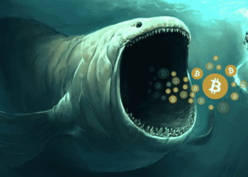 What Happened To The Bitcoin Whale Who Opened  Billion Long And Short Positions? What Happened To The Bitcoin Whale Who Opened  Billion Long And Short Positions?