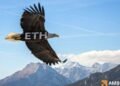 Ethereum: Why THIS analytics firm expects ETH to hit K in 2025