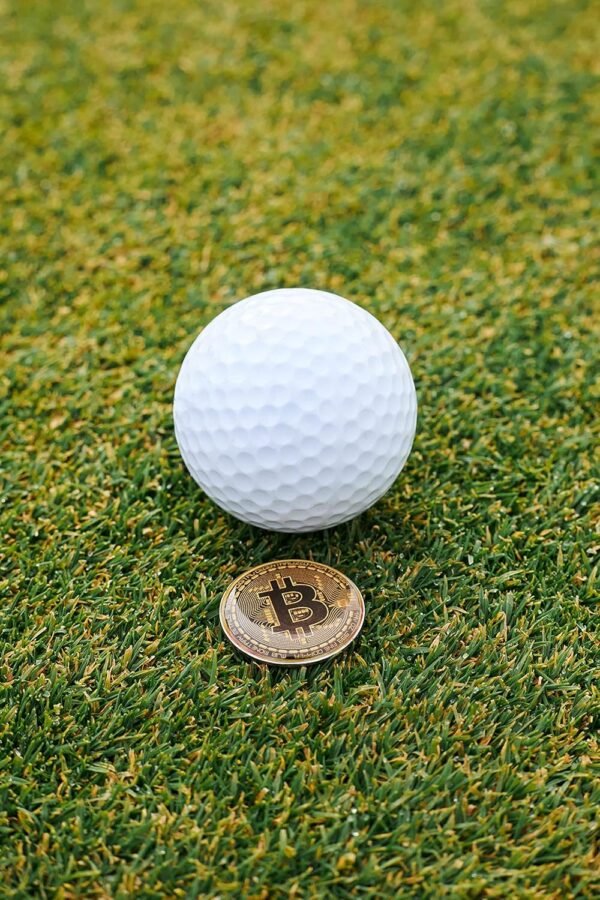 Bitcoin Golf Ball Markers Value Pack - Works with Most Hat Magnetic Clips and Divot Repair Tools Men and Women Golf Gift Accessories Funny Ball Mark Bulk Lot - Image 5