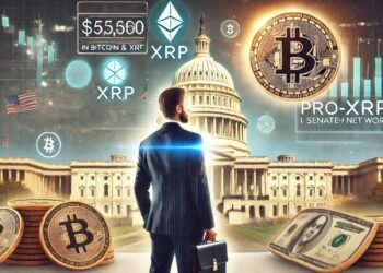 Insights From Ripple CEO’s Testimony To Senate Banking Committee