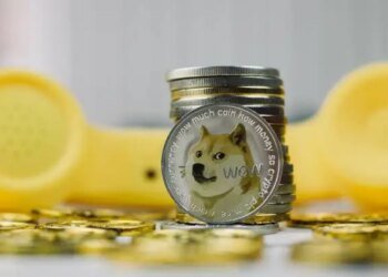 Dogecoin Price Macro Target Remains Above , And The Market Crash Hasn’t Changed It