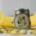 Dogecoin Price Macro Target Remains Above , And The Market Crash Hasn’t Changed It