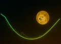 Is The Dogecoin Bottom In? Analyst Explains What Matters Now