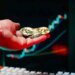Spot Bitcoin And Ethereum ETFs Finally Break Out Of Outflow Streak