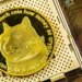 The Dogecoin Cycle Fractal That Shows Where The Price Is Headed Next The Dogecoin Cycle Fractal That Shows Where The Price Is Headed Next