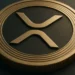 XRP Price May Be Bearish Below , But On-Chain Data Tells A Different Story