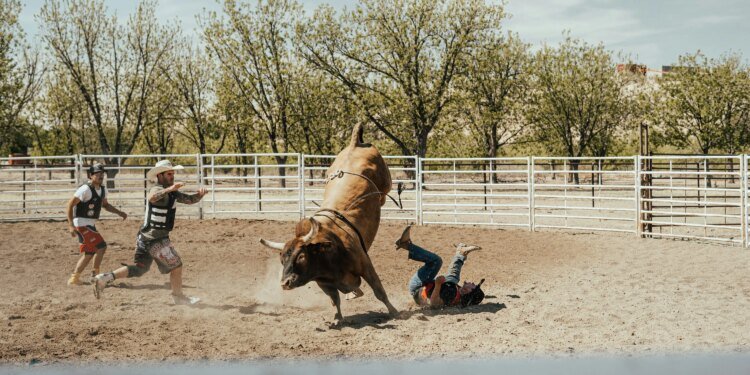 8 Million Bitcoin Buying Spree Sparks Bullish Momentum