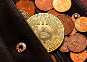 Whoever controls digital wallets will control the future