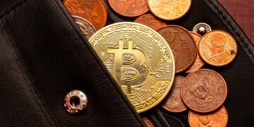 Whoever controls digital wallets will control the future