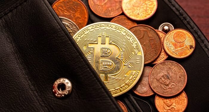 Whoever controls digital wallets will control the future