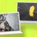 Puppy Linux vs. Linux Lite: Which distro is right for your old Windows 10 PC? Puppy Linux vs. Linux Lite: Which distro is right for your old Windows 10 PC?
