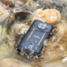 The best rugged phones in 2026: Tested by experts