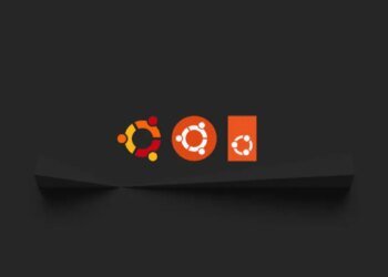 Want to self-host for free? This server OS makes it easy – here’s how to get started