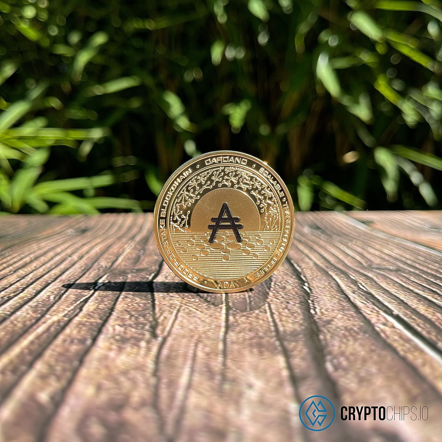 Cryptochips | Cardano (ADA) Physical Crypto Coin | Commemorative Cryptocurrency You Can HODL 8 Cryptochips | Cardano (ADA) Physical Crypto Coin | Commemorative Cryptocurrency You Can HODL - Image 8
