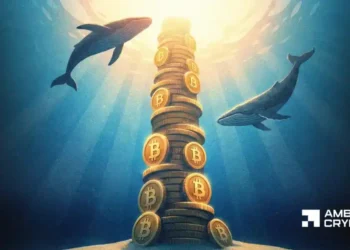 Decoding Bitcoin’s capital rotation – B retail exits as whales take control