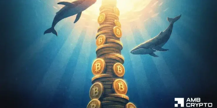 Decoding Bitcoin's capital rotation – B retail exits as whales take control