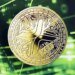 Pundit’s XRP Projection For Next Bull Cycle Shows When Rally To 0 Is Coming