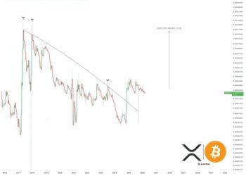 The Last Time XRP Made This Move Against Bitcoin, It Led To A 500% Increase To .3