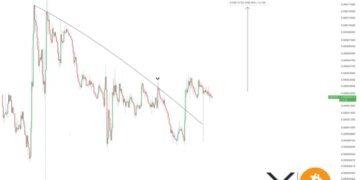 The Last Time XRP Made This Move Against Bitcoin, It Led To A 500% Increase To .3