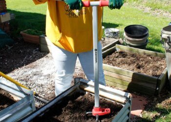 5 gadgets I'm buying this summer to grow my green thumb (and they're all discounted)