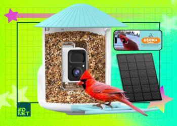 Yes, you need a smart bird feeder in your life – and this one’s on sale for Memorial Day