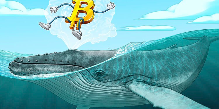 50K BTC Flow Adds Pressure To Bitcoin Price: Will The Sell-off Deepen?