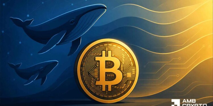Why Bitcoin’s 55% profitable supply doesn’t confirm BTC’s full recovery yet Why Bitcoin’s 55% profitable supply doesn’t confirm BTC’s full recovery yet