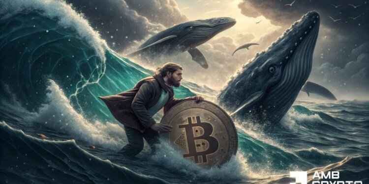 Bitcoin price holds above K – But is a BTC bull trap brewing?