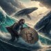 Bitcoin price holds above K – But is a BTC bull trap brewing? Bitcoin price holds above K – But is a BTC bull trap brewing?