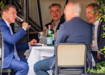 What are Nigel Farage’s allies doing in ‘beautiful’ and ‘cheap’ Montenegro?