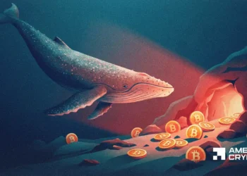 Crypto whales are loading up – But THIS Bitcoin metric flash a warning