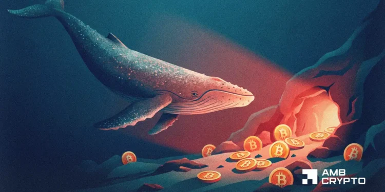 Crypto whales are loading up – But THIS Bitcoin metric flash a warning
