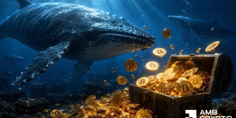 Bitcoin whales accumulate for 5 days – Can BTC escape THIS channel?
