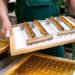 Digital gold, copper and uranium: prospectors stake bets on metals-crypto fusion